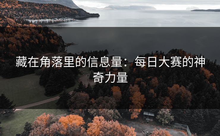 藏在角落里的信息量：每日大赛的神奇力量